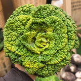Heirloom Wrinkle-Leaf Bok Choy Seeds