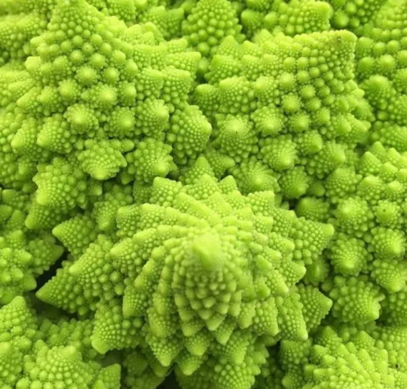 Roman Pagoda Cauliflower Seeds