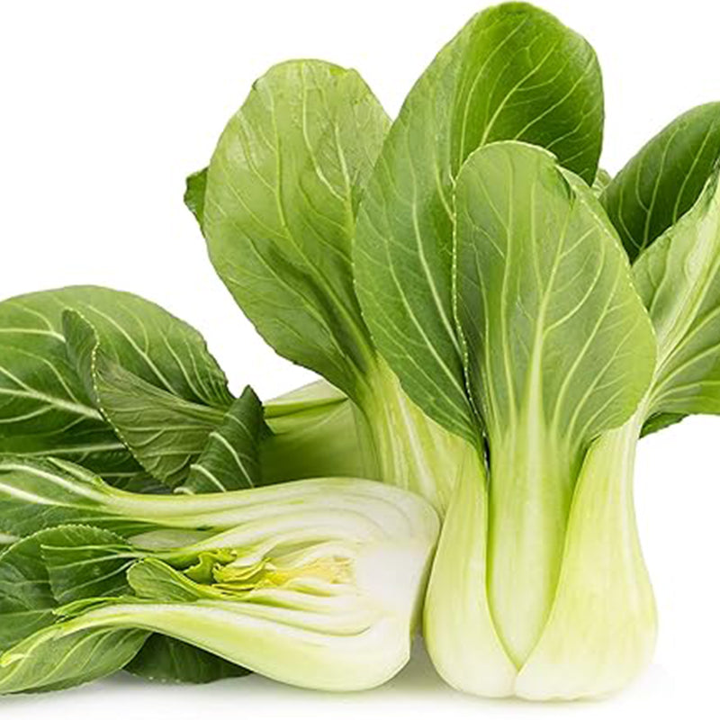 Semillas de pak choi bebé - Shanghai Green Stem - también conocido como pak choi, pok choi, repollo chino