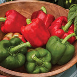 Pepper, Sweet, California Wonder