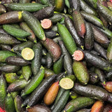 FRESH Caviar Limes (Finger Limes) RARE FRUIT- California Grown