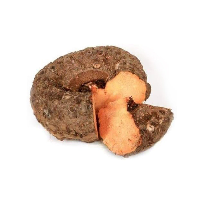 Semillas de la planta de ñame de pata de elefante