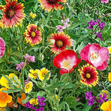 Mezcla de semillas de flores silvestres del suroeste