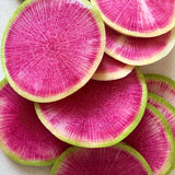 False-Watermelon Radish Seeds
