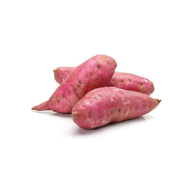 Semillas de batata fresca