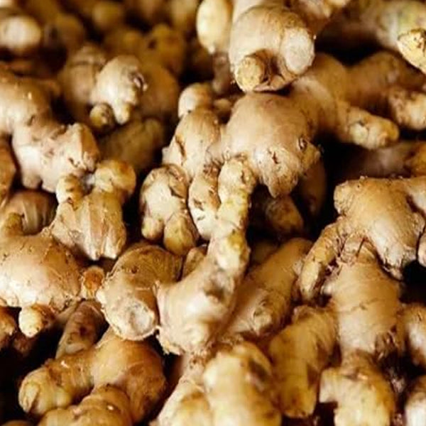 Ginger Vegetable Seeds