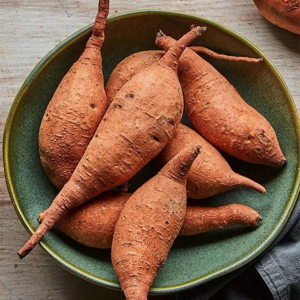 Sweet Potato, Vardaman