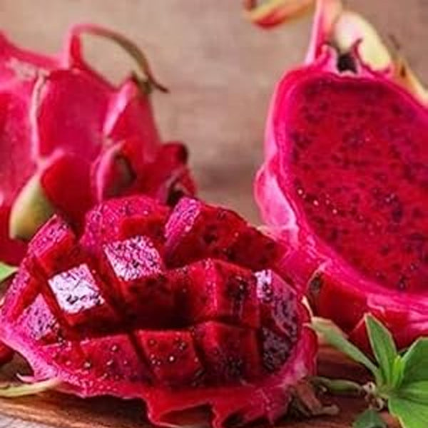 Semillas raras de pitaya roja (fruta del dragón): tasa de germinación del 95 %