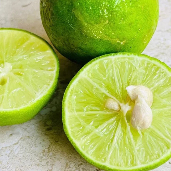 Key Lime Seeds for Planting Home Gardening, Rare Fruit Seeds