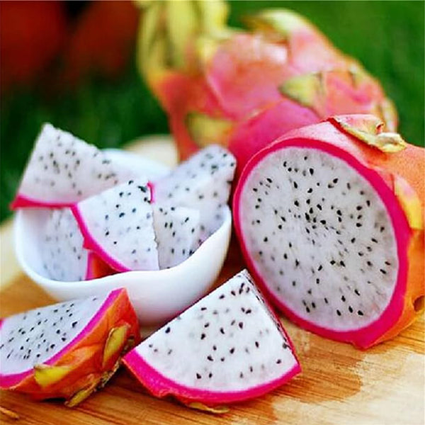 Dragon Fruit Seeds, Hylocereus Triangularis - Luscious Fruit and Fragrant Night-Blooming Blooms