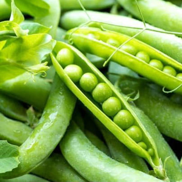 Fresh Peas Vegetable Seeds