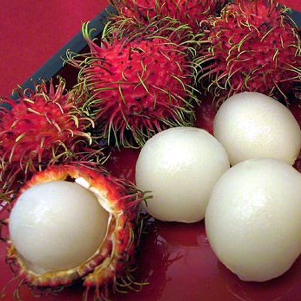 Semillas de fruta de rambután fresco