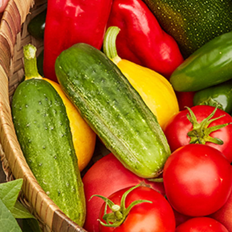 Saffron Summer Squash Seeds