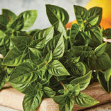 Basil, Lemon scented, Limoncello
