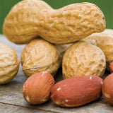 Peanut, Jumbo Virginia