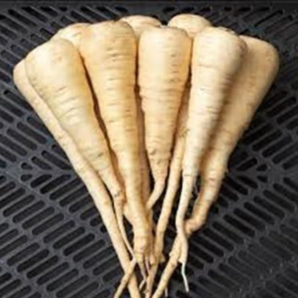 Parsnip Vegetable Seeds