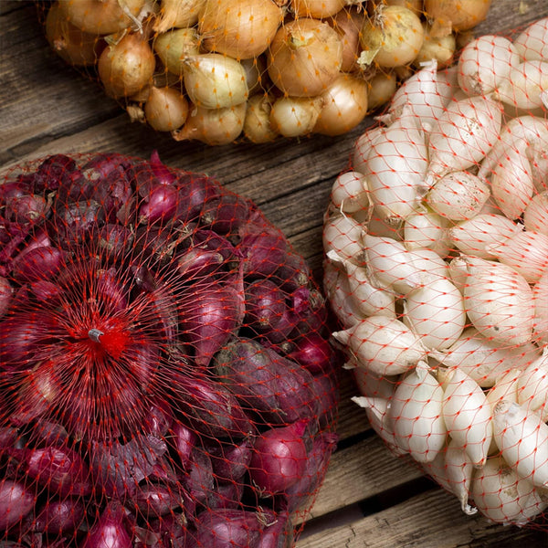 Mixed Red, White and Yellow Onion Sets Bulbs for Planting Now - Onion Assortment