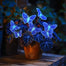 Butterfly Begonia: Unleash Whimsy in Your Garden!