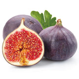 Fig Tree Seeds (Ficus carica), Sweet Fruit Shrub