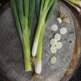 Bunching Onion, Evergreen Long White
