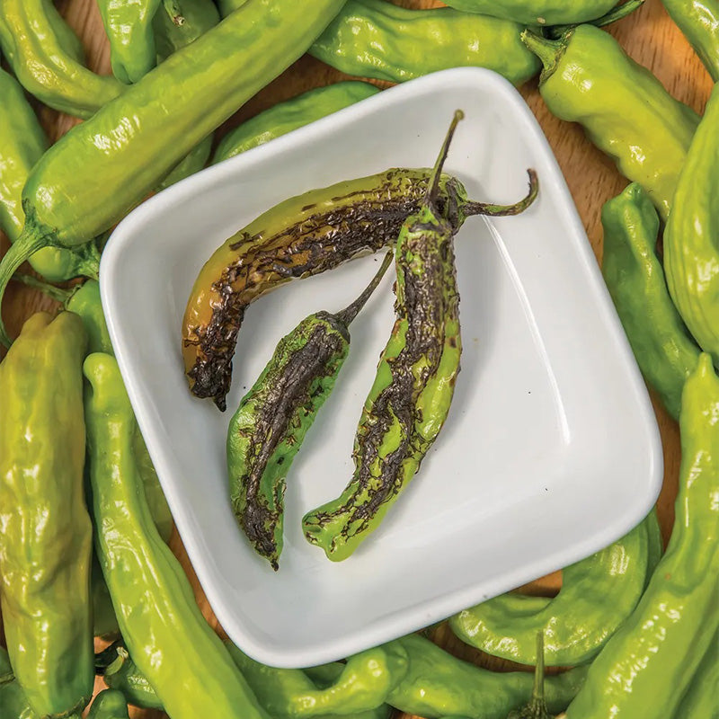 Pepper, Hot, Dragon Roll Hybrid