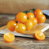 Semillas de tomate cherry amarillo de Patio Choice