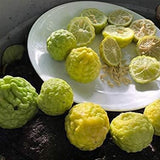 Garantía de floración y fructificación del árbol de lima kaffir