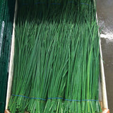 Nelly Organic Chive Seeds