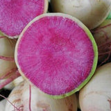 False-Watermelon Radish Seeds