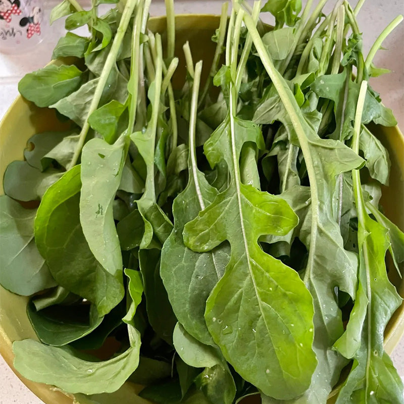 Long-Stem Gourmet Arugula Seeds