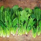 Spinach Regiment F1 Organic