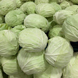 Crisp White-Hearted Cabbage Seeds