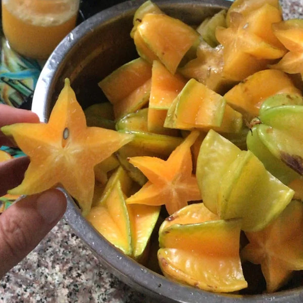 Star Fruit Seeds