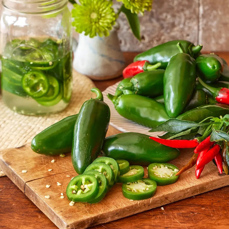 Pepper, Hot, Spice 'n Dice Hybrid