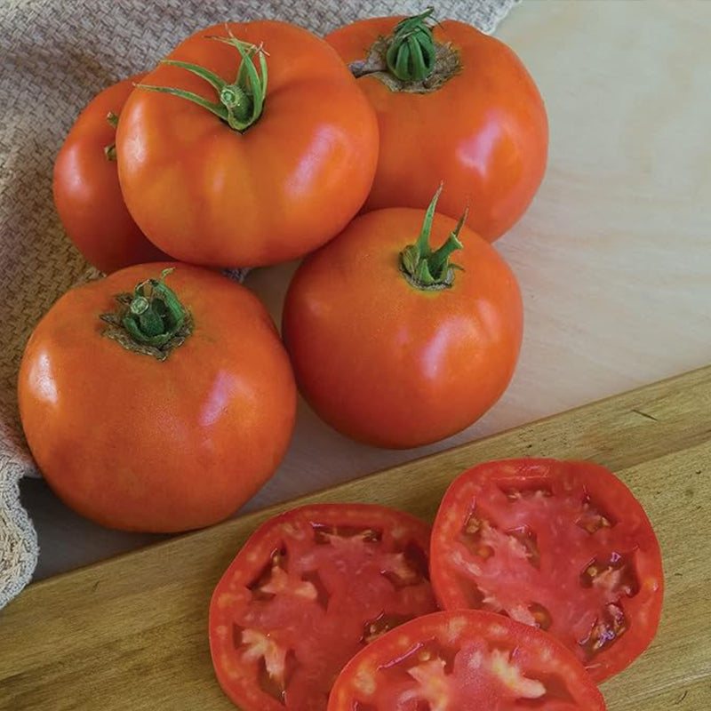 Super Beefsteak, Tomate para rebanar de Beefsteak rojo