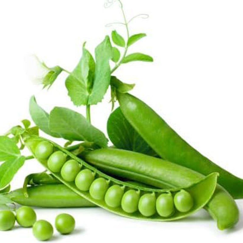 Semillas de guisantes frescos