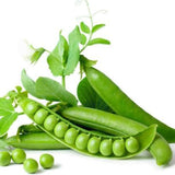 Semillas de guisantes frescos