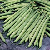 Container Bush Beans