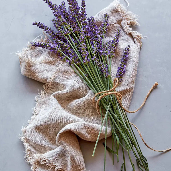 Lavender, Sensational!