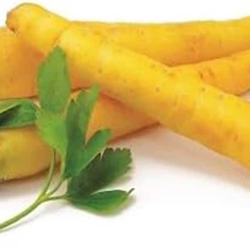 Fresh Carrot Vegetable Seeds