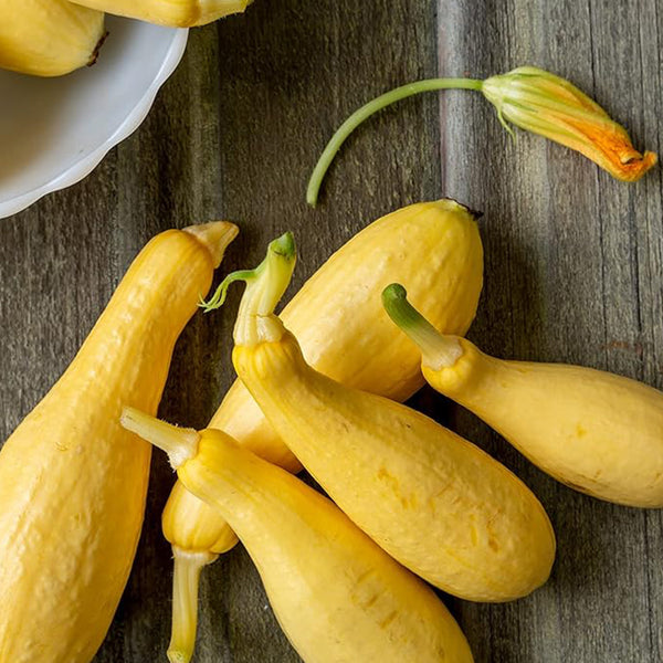 Saffron Summer Squash Seeds