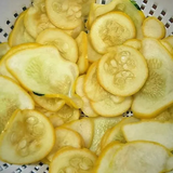 Early Prolific Straightneck Squash Yellow Summer Bush Heirloom Seeds