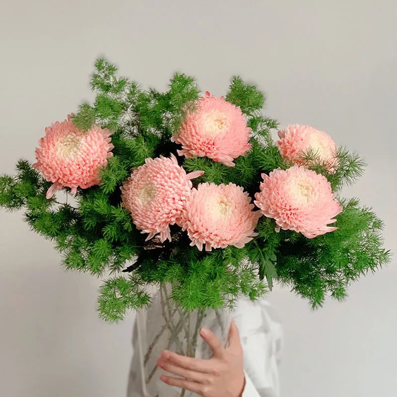 Semillas raras de crisantemo peonía rosa de porcelana azul y blanca