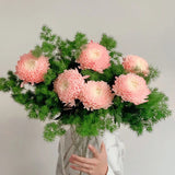 Semillas raras de crisantemo peonía rosa de porcelana azul y blanca