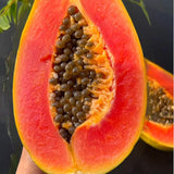 Semillas de papaya cremosa Red Heart: lo mejor de las papayas para su huerto casero: frutas ricas, dulces y llenas de nutrientes