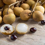 Semillas de fruta exótica rara de Longan enano Sri Chompoo, también conocido como Ojo de dragón