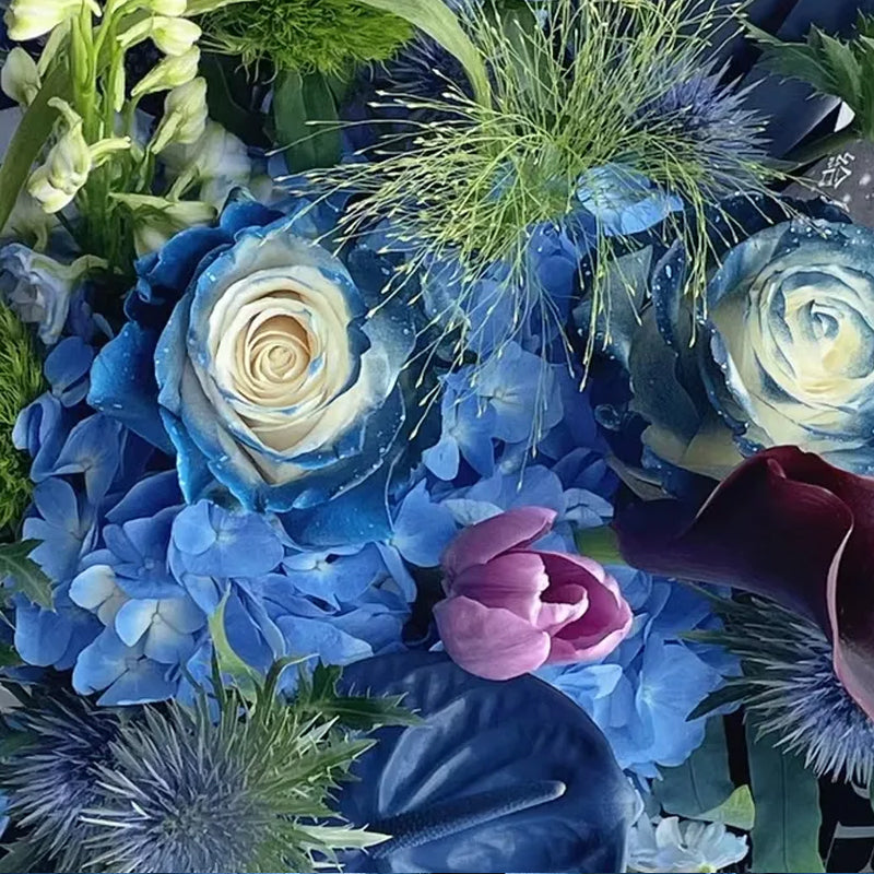 Starry Galaxy Roses Starry Galaxy Rose - Rare Rose – Haiyiplants