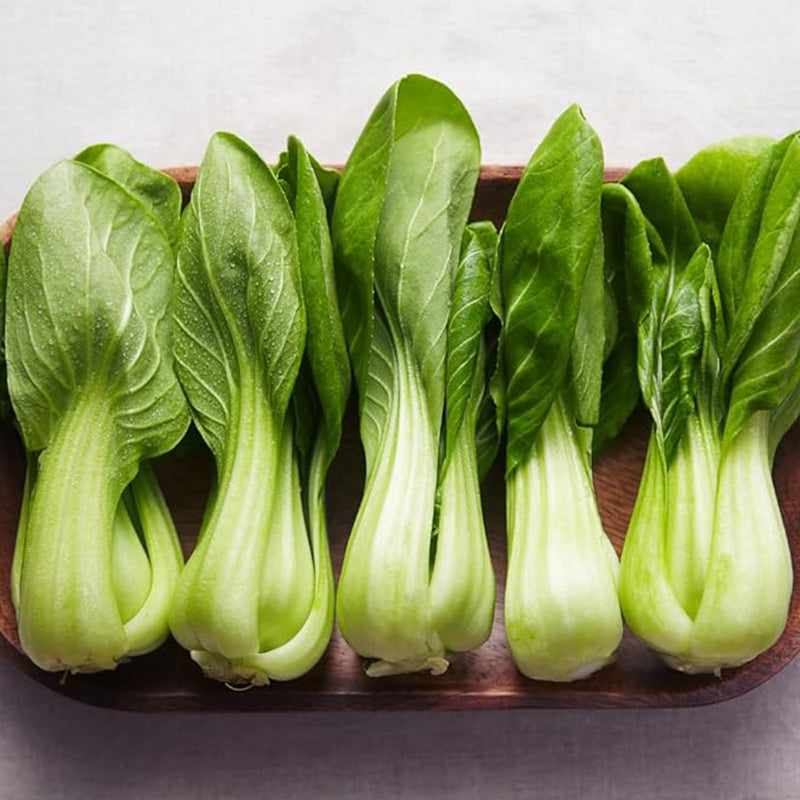 Semillas de Bok Choy para plantar - Cải Thìa - AKA. Pak Choi, repollo chino, Bok Choi