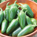Pepper, Hot, Jalapeño Early