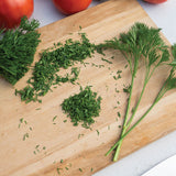 Menuette Parsley Seed